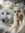 TheWolfChanger | 11 comments