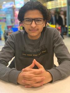Ammar Mohsen