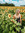 Holly (hollls) | 6 comments