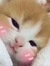 Chattie