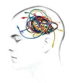 Michael Vincent  Solomon