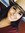 Samantha Alvarado
