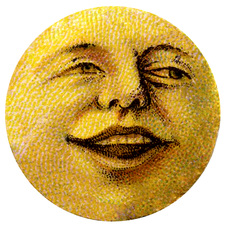 Brightonius