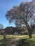 Magdale...