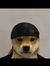 ʕ•́ᴥ•̀ʔっ