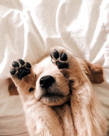 Markéta Procházková