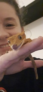 Sarah