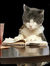 loucat