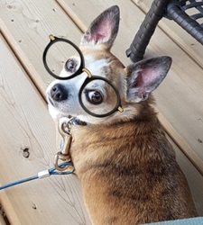 Reading Between The Wines