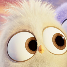 Спасена Стоилкова