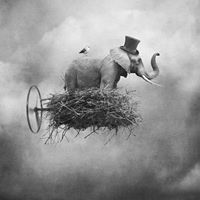 Надежда Тарасова