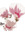 Windsprite | 35 comments
