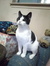 Cathleen