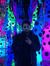 Nabil