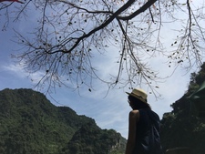 Hạ Tử