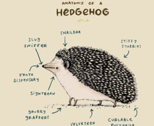 The Marvelous Ms. Kaia