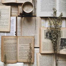 milsbookcorner