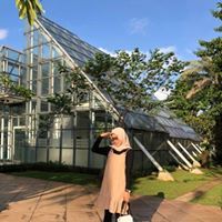 Citra Jamin