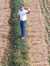 Abhi