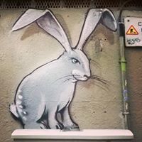 Екатерина Михайлова