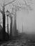 Jason Tolkien