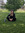 Mar (mar_dav) | 4 comments