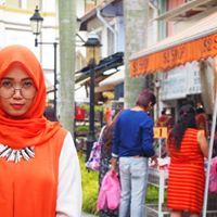 Novi Sari