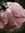Addy | 2 comments