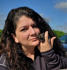 Vinessa