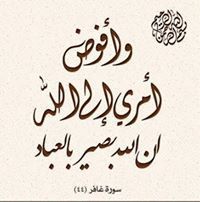Abdallah Alrefaey