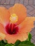 Margaret
