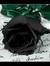 Black Rose Book Affair