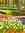 Andrea Anf | 1 comments