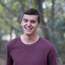 Brandon Begis