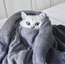 Анна Мартысюк