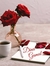Dina Gamal