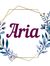 Aria