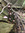 Katie | 6 comments