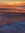 Zozo | 3 comments