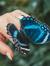 Blue Morpho