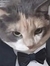 Kito