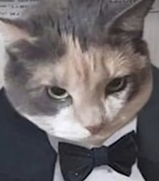 Kito