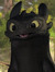 Toothless