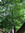 Kate Shara | 1 comments