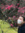 Midori (midoringuyen) | 2 comments