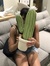 Lorena Burcher