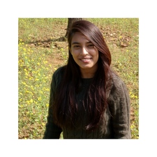 Shivi Gupta