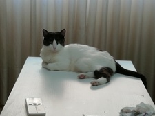 Rocío