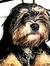 Charlie C