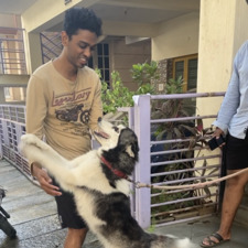 Vivek